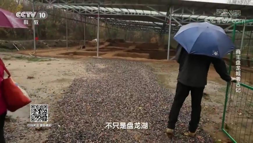 电影蛟龙行动,2025澳彩今晚开什么号码呢,确保成语解释落实的问题_移动版V13.82