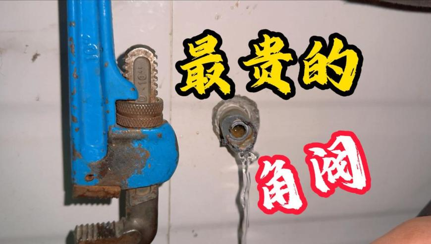 六肖中特期期准软件下载链接,用DeepSeek制定减肥健身计划,国产化作答解释落实_户外版V8.26