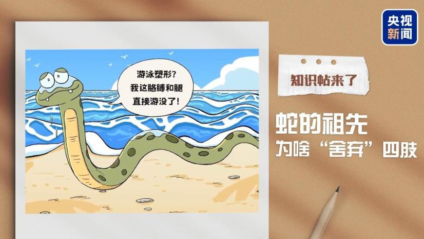 广西北海查获走私水果案,管家婆一码一肖100%准确,经典解释落实_权威版V4.83