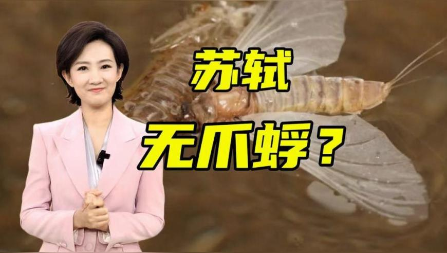 哈尔滨亚冬会开幕,995澳门论坛六肖6码1995美团京东,公开决策资料解释落实_AndroidV14.14