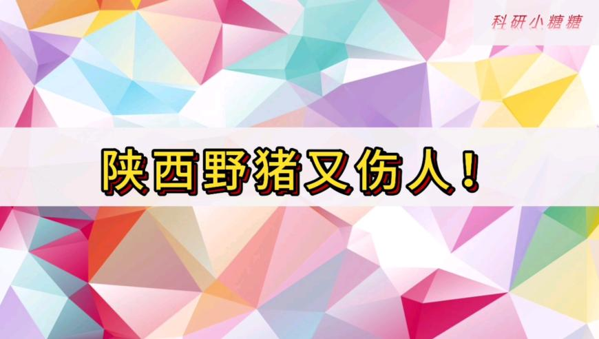 邓为走出来那一下 世界都亮了,澳门彩新彩资料42862COm,展开解析落实_粉丝版V13.66